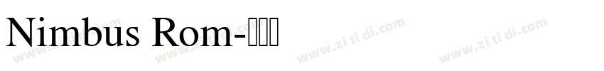 Nimbus Rom字体转换